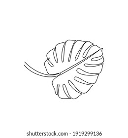 Drawing of tropical monstera leaf outline. Line drawing of tropical monstera leaves. Templates for your designs. Vector illustration