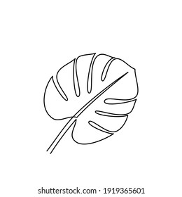 Drawing of tropical monstera leaf outline. Line drawing of tropical monstera leaves. Templates for your designs. Vector illustration