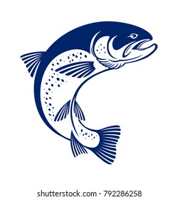drawing trout  fish