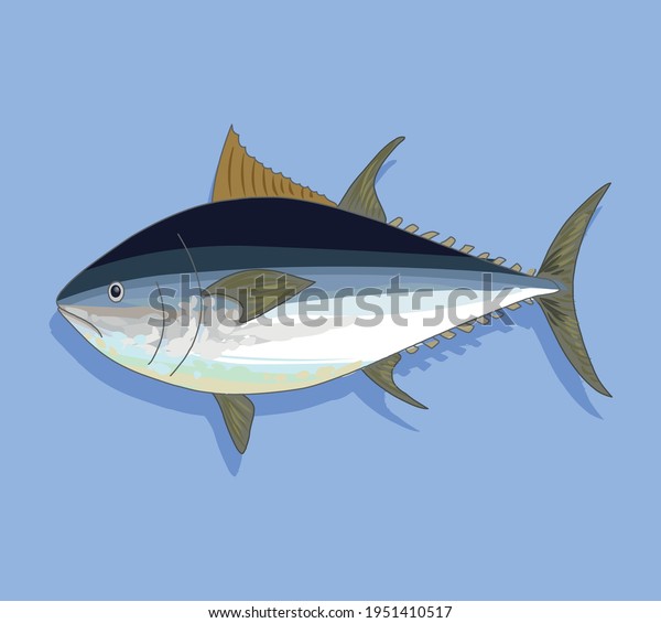 Drawing Tuna Fish Stock Vector (Royalty Free) 1951410517 Shutterstock