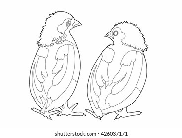 Drawing two birds conversation