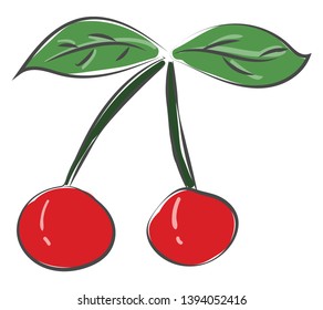 Drawing of two cherries with two fresh leaves vector color drawing or illustration