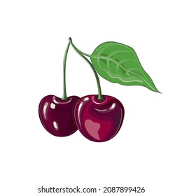 Drawing of two cherry berries with a leaf in cartoon style. The fruit. Stock vector illustration isolated on a white background.