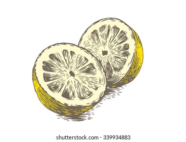 Drawing of two halves of lemon on the white background
