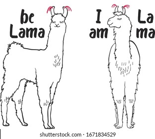 Drawing two lamas standing face and standing side