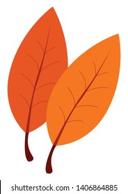 Dibujo de dos hojas con color naranja claro y oscuro, vector, dibujo de color o ilustración. 