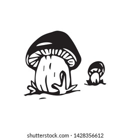 drawing two mushrooms vector sketch