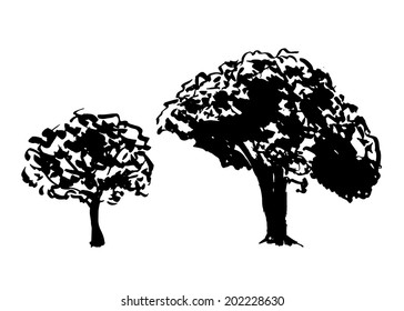 Drawing of two trees. Vector illustration