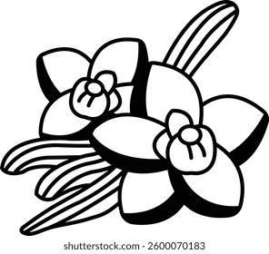 A drawing of two white flowers with centers