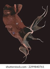 Dibujo Águido de vampiro, raro, único, art.ilustración, vector
