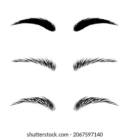 Drawing of various eyebrow shapes on a white background. Vector illustration