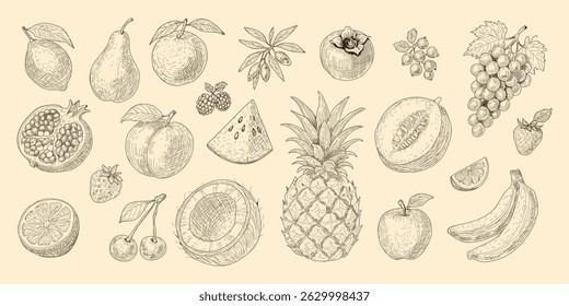 A drawing of various fruits and vegetables, including apples, bananas, and oranges.
