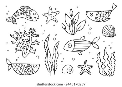 Drawing of Various Sea Animals on Paper