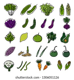 Drawing of various vegetables icon set. hand drawn vector illustration