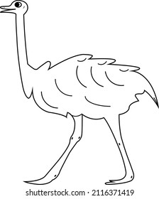 drawing vector birds for painting purposes. 3d drawings.