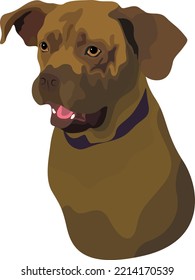 Drawing vector desgin man drawing,pet and animal drawing