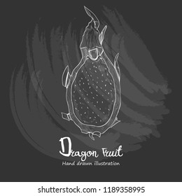 drawing vector of Dragon Fruit chalkboard style.