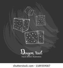 drawing vector of Dragon Fruit chalkboard style.