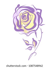 Drawing vector graphics with floral pattern for design. Floral  natural design. Graphic, sketch drawing.  Rose, logotype

