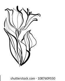 22,544 Lily line drawing Images, Stock Photos & Vectors | Shutterstock