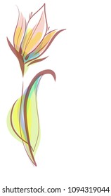 Drawing vector graphics with floral pattern for design. Floral flower natural design. Graphic, sketch drawing. lily, tulip. logotype