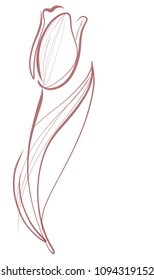 Drawing vector graphics with floral pattern for design. Floral flower natural design. Graphic, sketch drawing. lily, tulip. logotype