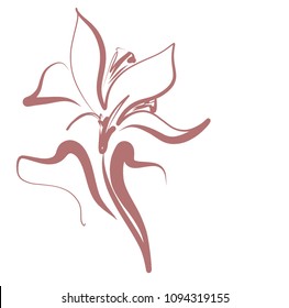 Drawing vector graphics with floral pattern for design. Floral flower natural design. Graphic, sketch drawing. lily, tulip. logotype