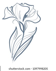 Drawing vector graphics with floral pattern for design. Floral flower natural design. Graphic, sketch drawing. lily, tulip. logotype