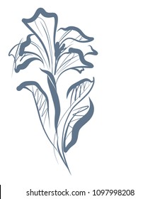 Drawing vector graphics with floral pattern for design. Floral flower natural design. Graphic, sketch drawing. lily, tulip. logotype
