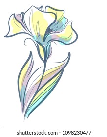 
Drawing vector graphics with floral pattern for design. Floral flower natural design. Graphic, sketch drawing. lily, tulip. logotype

