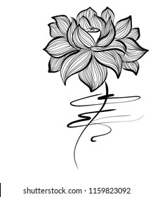 Drawing vector graphics with floral pattern for design. Floral flower natural design. Graphic, sketch drawing. lily,  logotype, Religion, symbol, lotus, water lily, lily  