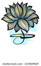 Drawing vector graphics with floral pattern for design. Floral flower natural design. Graphic, sketch drawing.   logotype, Religion, symbol, lotus, water lily, lily 