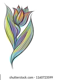 Drawing vector graphics with floral pattern for design. Floral flower natural design. Graphic, sketch drawing. lily, tulip. logotype

