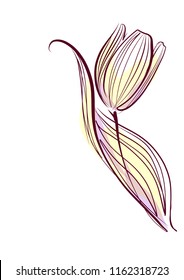 
Drawing vector graphics with floral pattern for design. Floral flower natural design. Graphic, sketch drawing. lily, tulip. logotype
