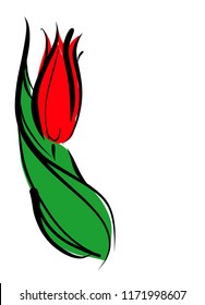 Drawing vector graphics with floral pattern for design. Floral flower natural design. Graphic, sketch drawing. lily, tulip. logotype