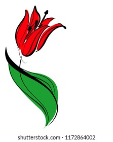 Drawing vector graphics with floral pattern for design. Floral flower natural design. Graphic, sketch drawing. lily, tulip. logotype