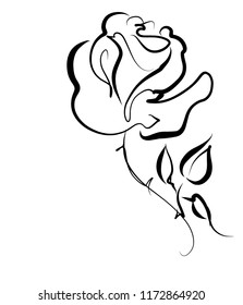 Drawing vector graphics with floral pattern for design. Floral  natural design. Graphic, sketch drawing.  Rose, logotype