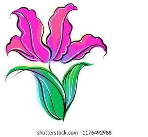 Drawing vector graphics with floral pattern for design. Floral flower natural design. Graphic, sketch drawing. lily, tulip. logotype