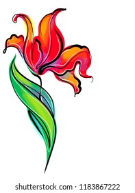 Drawing vector graphics with floral pattern for design. Floral flower natural design. Graphic, sketch drawing. lily, tulip. logotype

