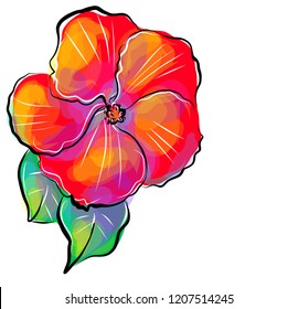   
Drawing vector graphics with floral pattern for design. Floral flower natural design. Graphic, sketch drawing. 
 tropics, magnolia, jungle, plants, hibiscus, chinese rose.