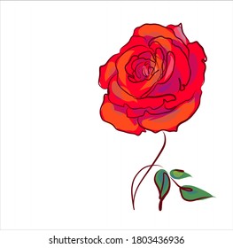 Drawing vector graphics with floral pattern for design. Rose .