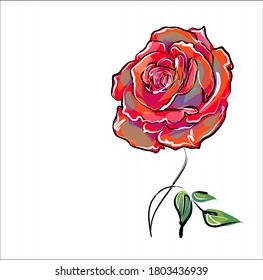 Drawing vector graphics with floral pattern for design. Rose .