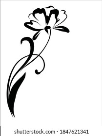 
Drawing vector graphics with floral pattern for design. tulip Floral flower natural design. Graphic, sketch drawing. lily, tulip. logotype
 