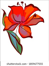 
Drawing vector graphics with floral pattern for design. tulip Floral flower natural design. Graphic, sketch drawing. lily, tulip. logotype