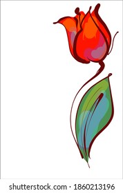 
Drawing vector graphics with floral pattern for design. tulip Floral flower natural design. Graphic, sketch drawing. lily, tulip. logotype