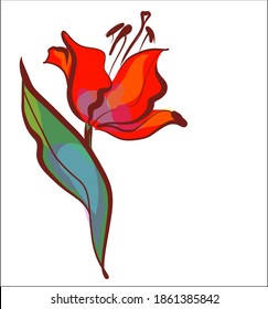 
Drawing vector graphics with floral pattern for desig with tulip 