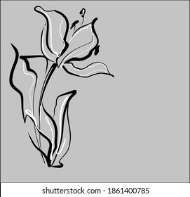 
Drawing vector graphics with floral pattern for desig with tulip 