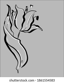 
Drawing vector graphics with floral pattern for desig with tulip 