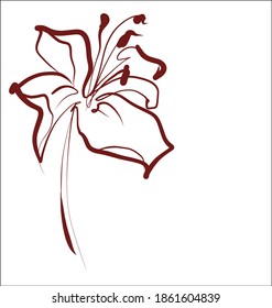 
Dibujo de gráficos vectoriales con patrón floral para diseño con tulipán 