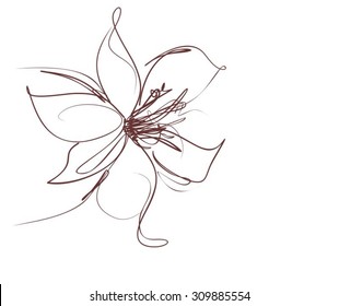 Drawing vector graphics with floral pattern for design. Floral flower natural design. Graphic, sketch drawing. lily, tulip.
